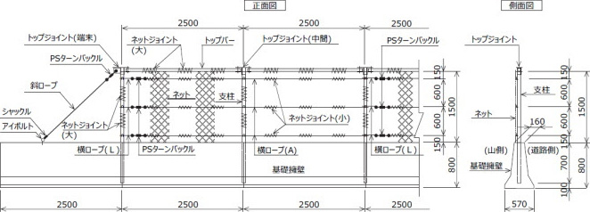 標準構造